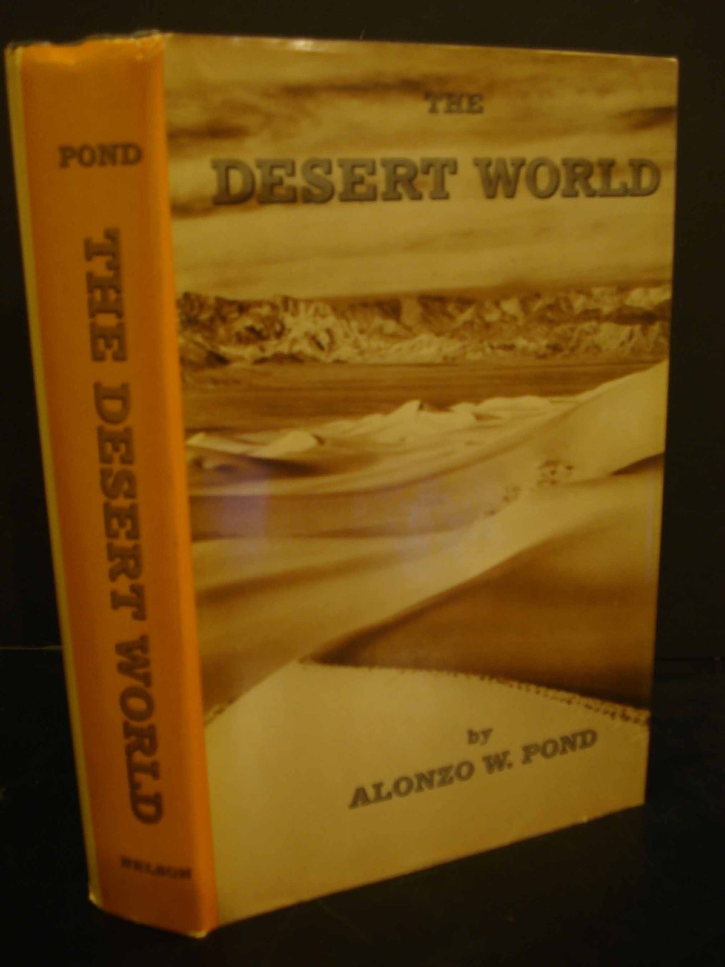The Desert World