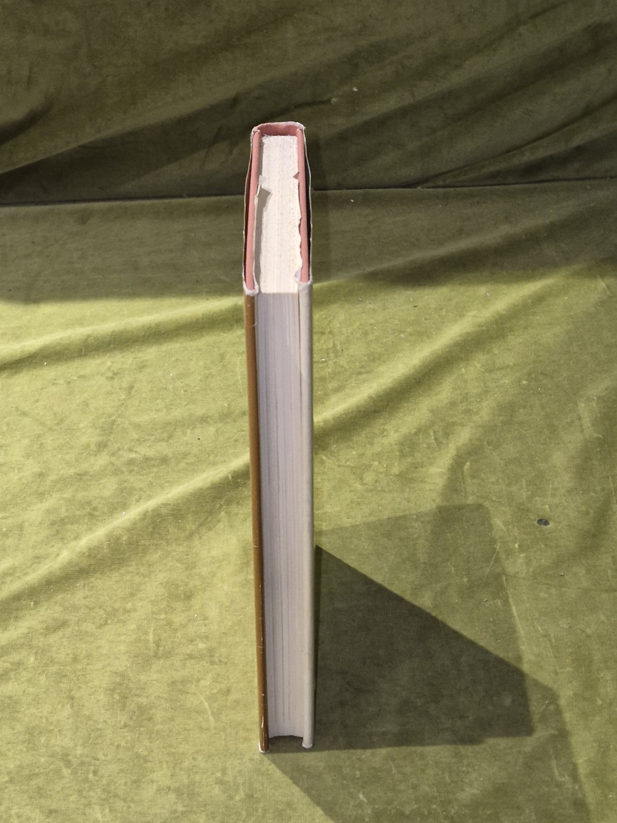 G.W. Murray Dare Me To The Desert 1st Edition in D/J 19676