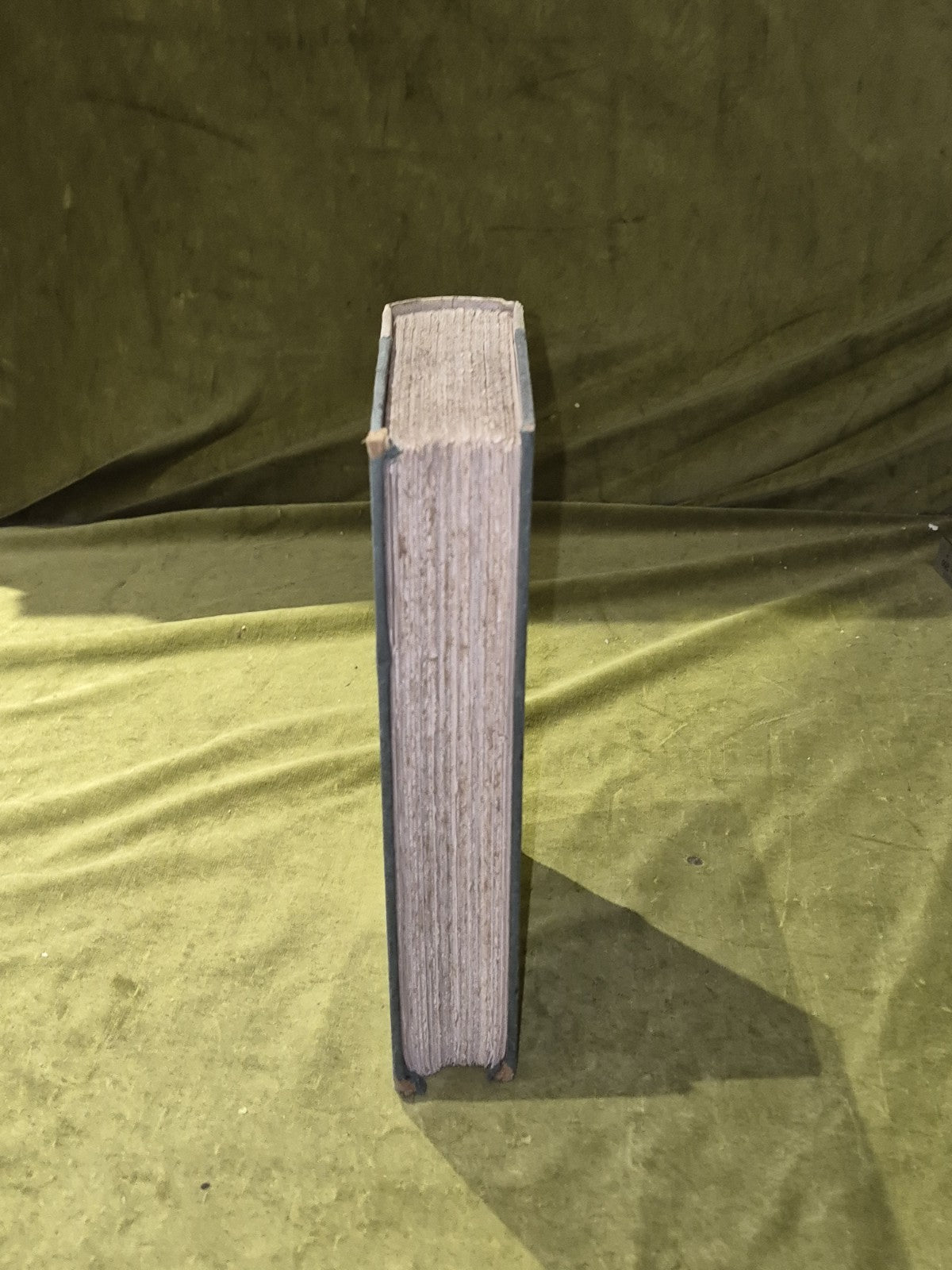 Catherine Sforza - Count Pier Desiderio Pasolini - 1898 - Heinemann7