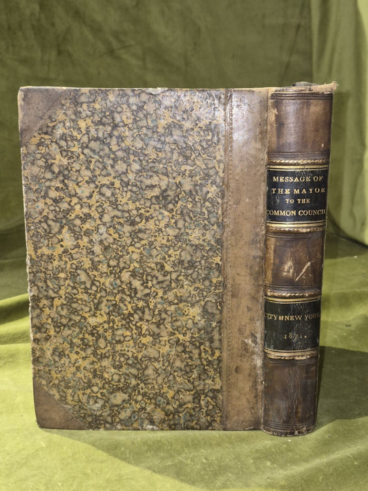 Message of the Mayor to the Common Council of the City of New York 18711