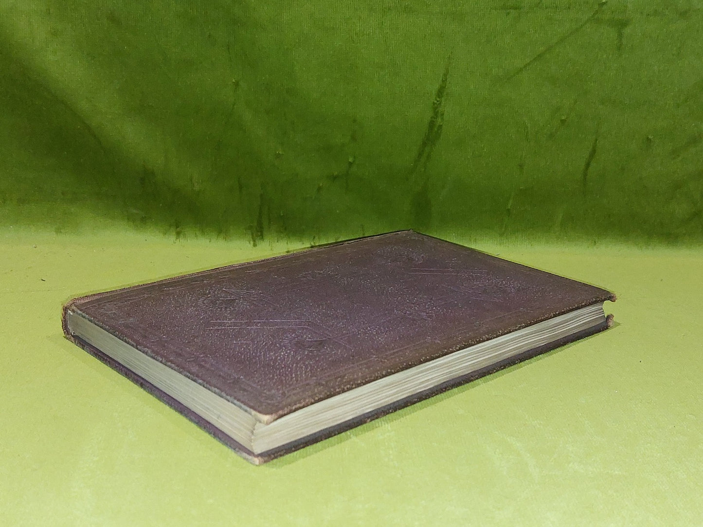 The Monks of Iona (1871) J. Stewart M'Corry5