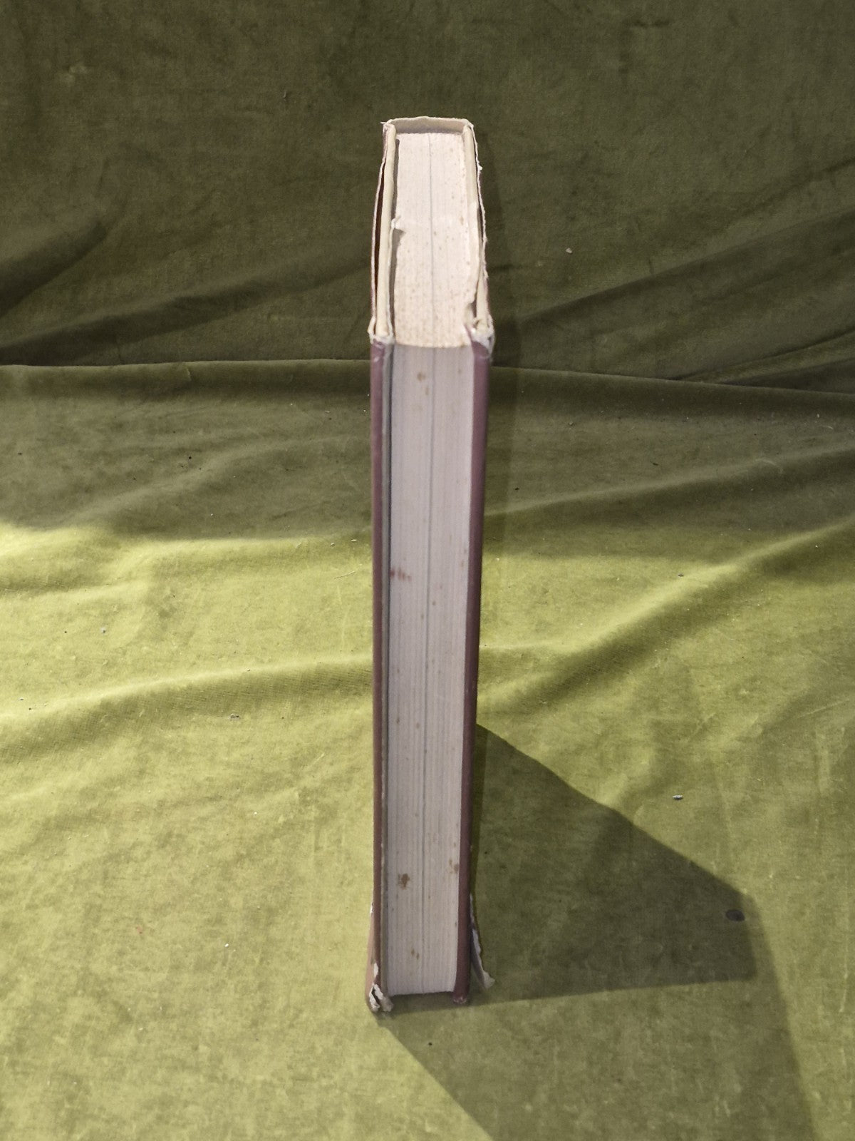 My First Hundred Years - Margaret Murray - Kimber 1963 2nd HB DJ7