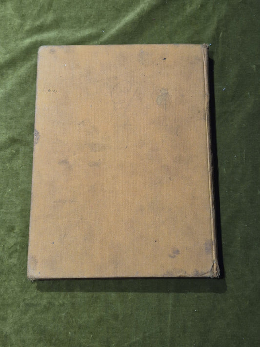 The Peter Pan Picture Book -1925 Vintage HC- Alice B Woodward & Daniel O'Connor1