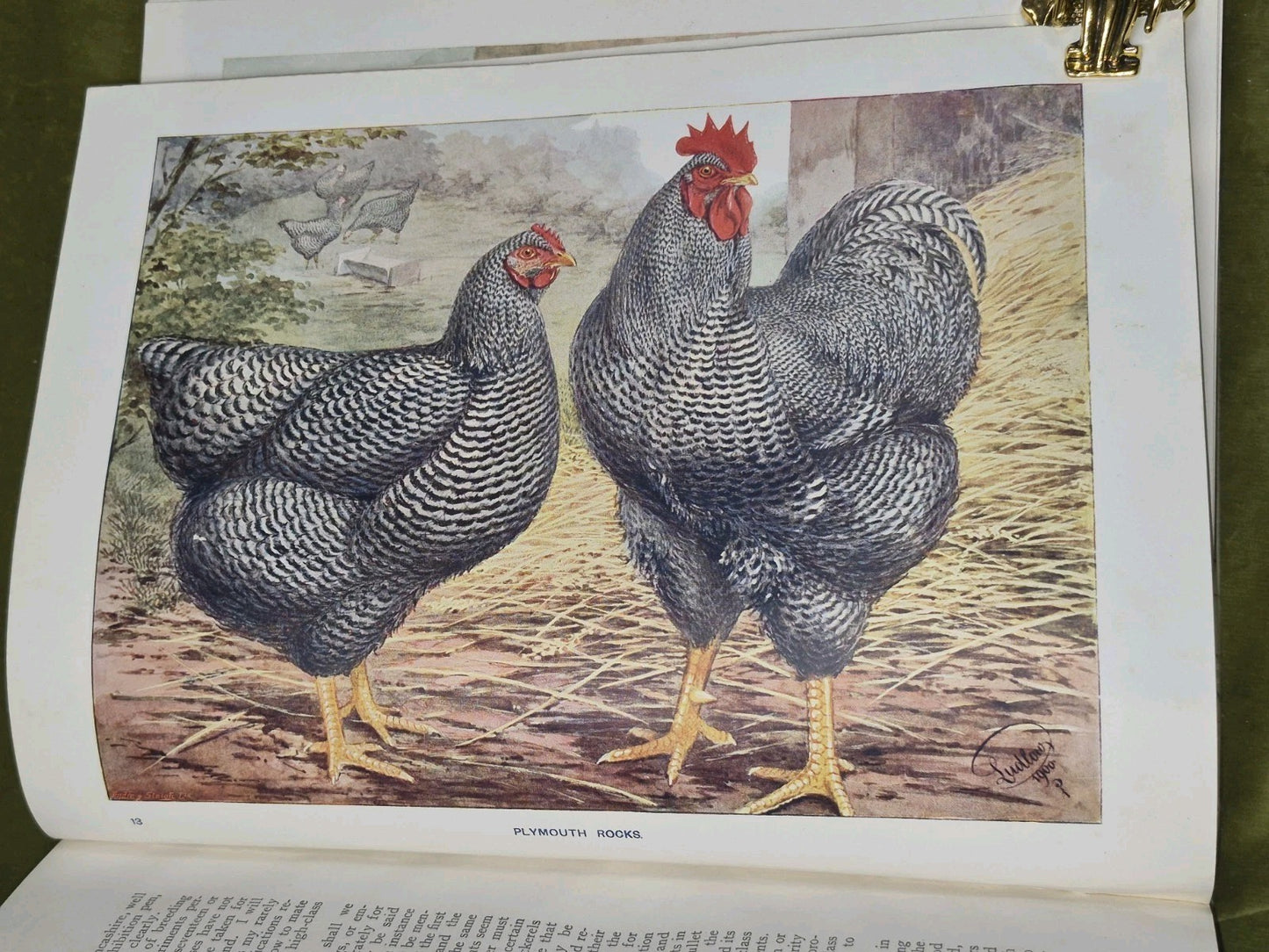Wright's Book of Poultry Lewer Cassell and Company9