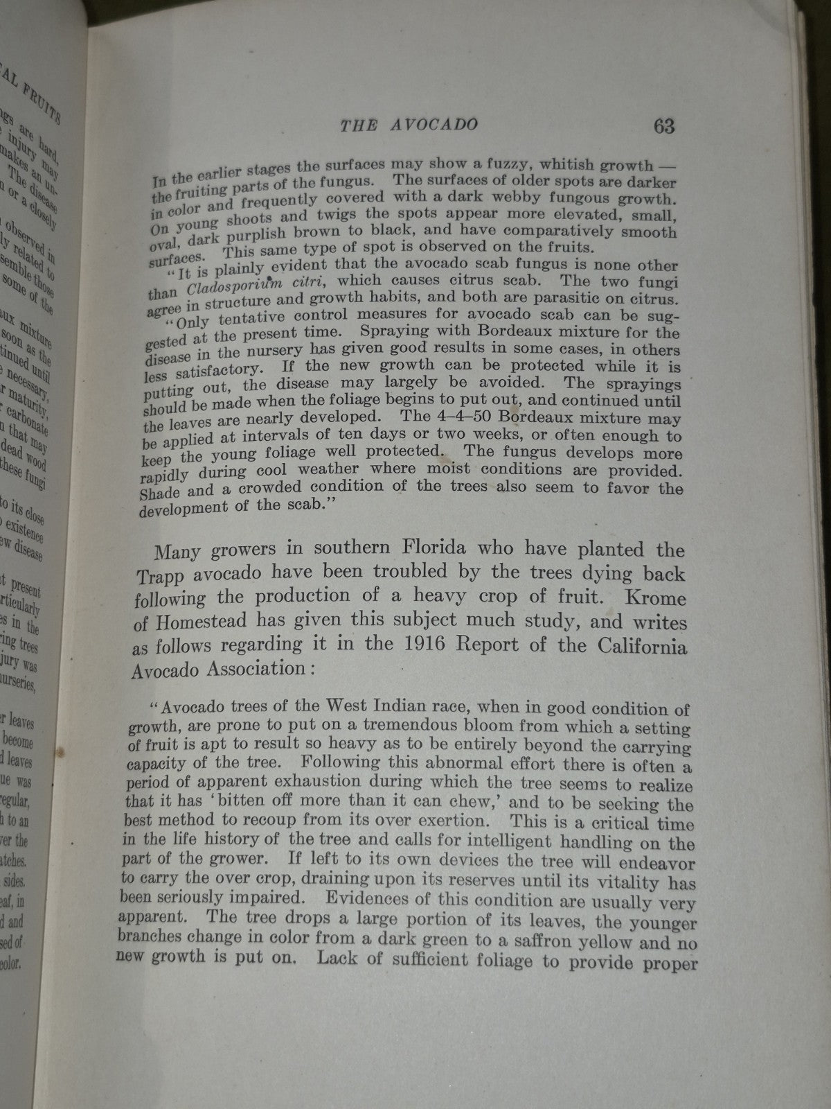 Manual of Tropical and Subtropical Fruits Wilson Popenoe 1920 Macmillan7