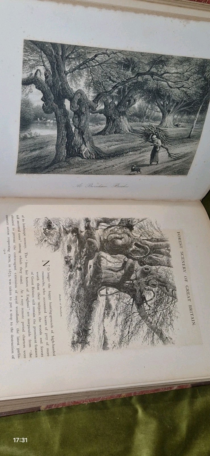 Picturesque Europe: Great Britain and the Continent 3 Volumes (First 1875-1879)22