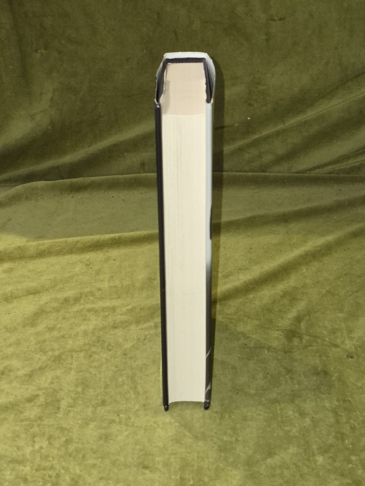 Money a Suicide Note - Martin Amis , Jonathan Cape 1984 1st HB DJ7