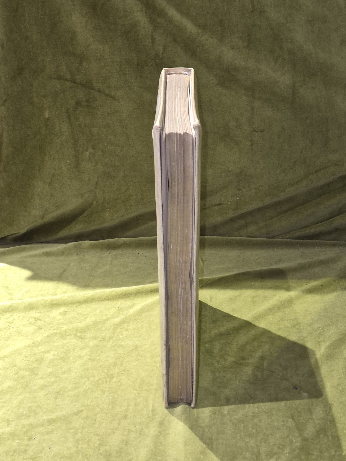 Glasgow Contemporaries At the Dawn of the XXth Century Large Gilded Vellum 190110