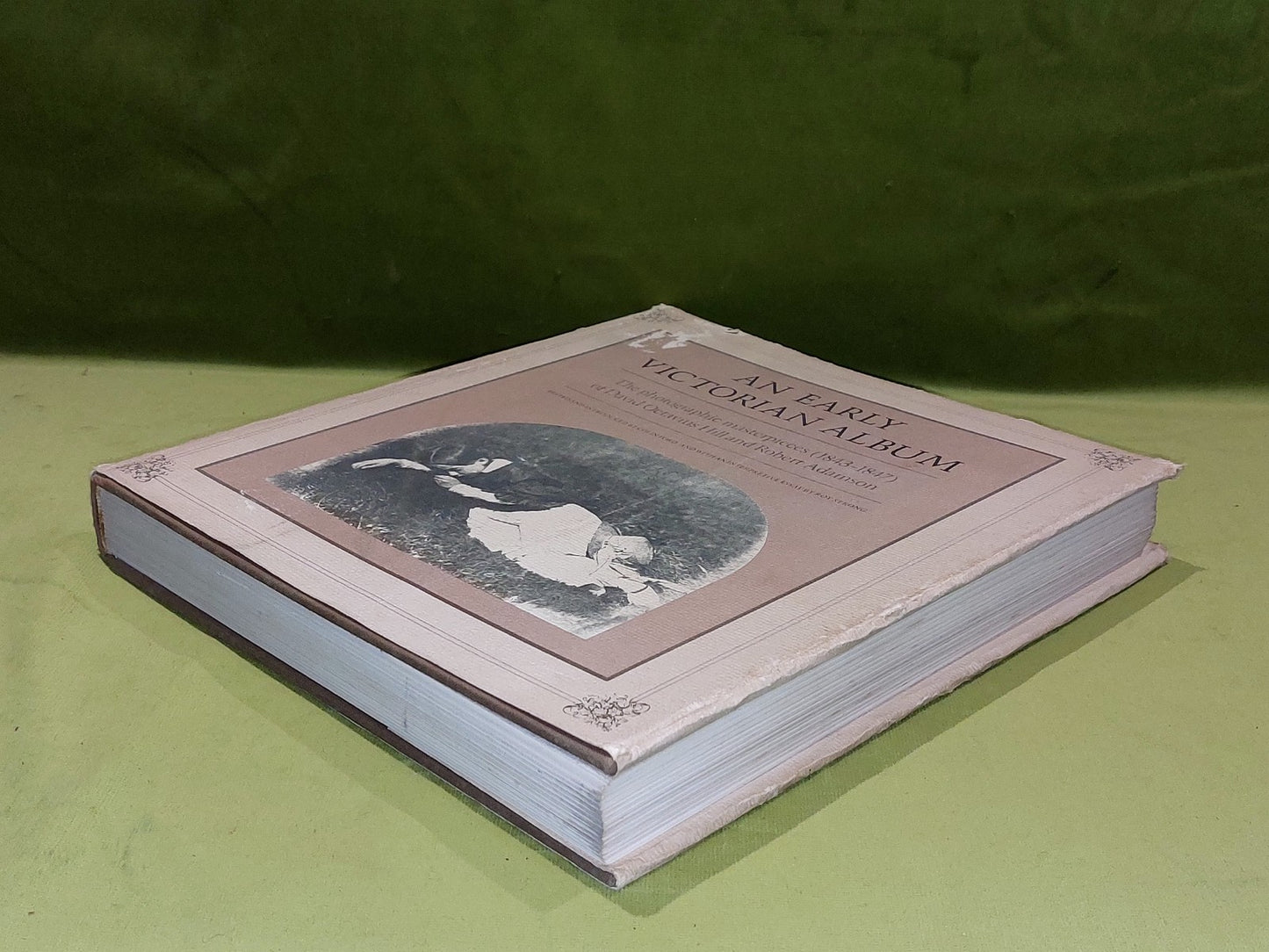 An Early Victorian Album (1976) By Hill & Adamson Hb Book9