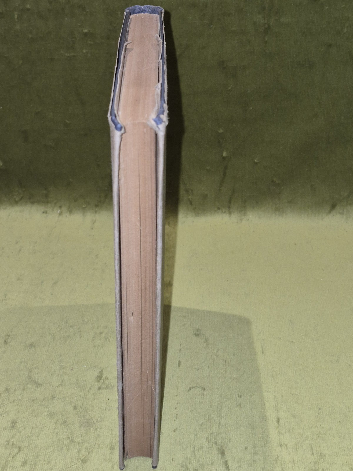 Anglo - Jewish Scrapbook 1600-1840: The Jew Through English Eyes A Cohen 1st Ed.5