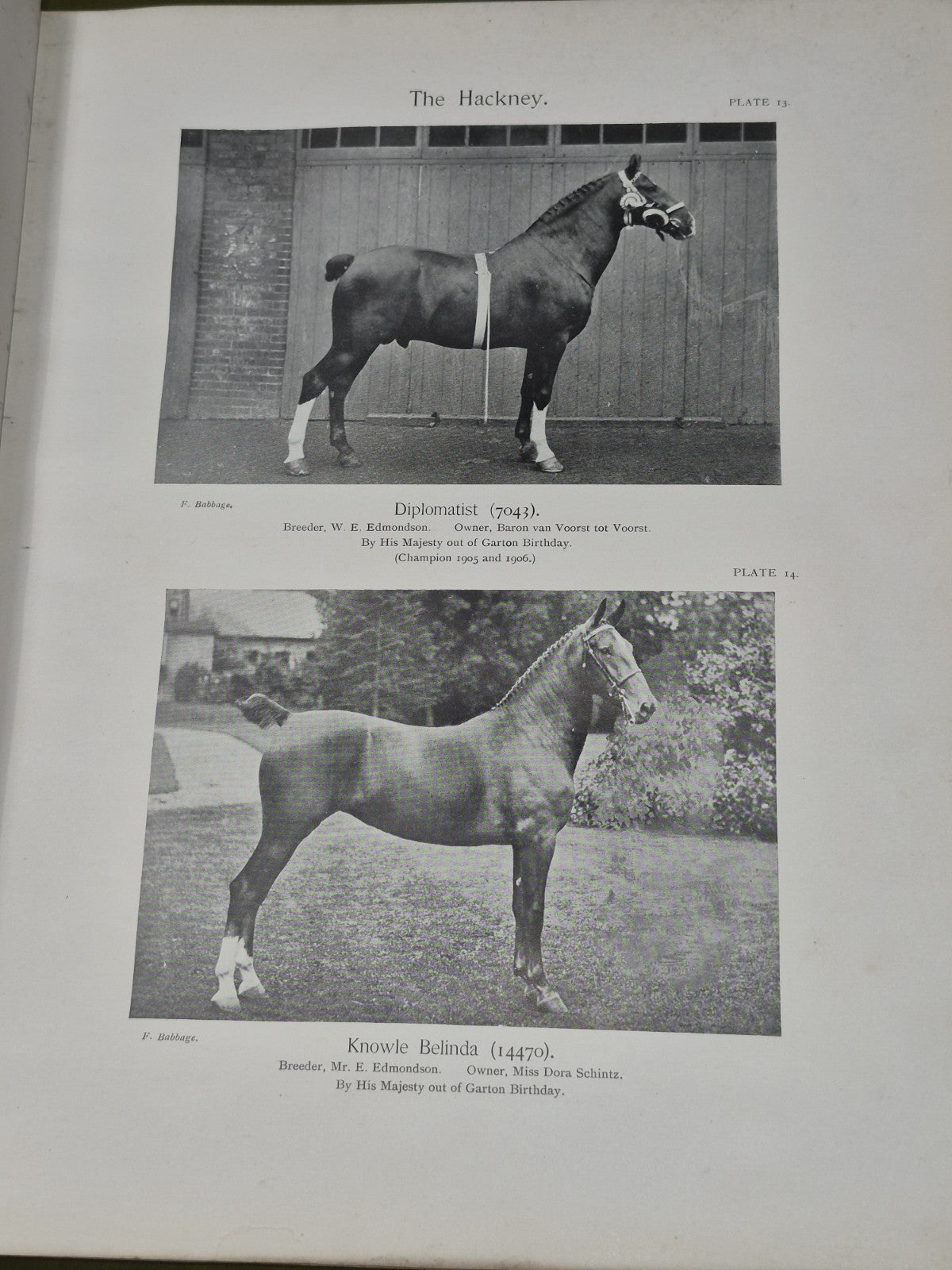The Horses of the British Empire Humphrey F De Trafford Walter Volume 2.9