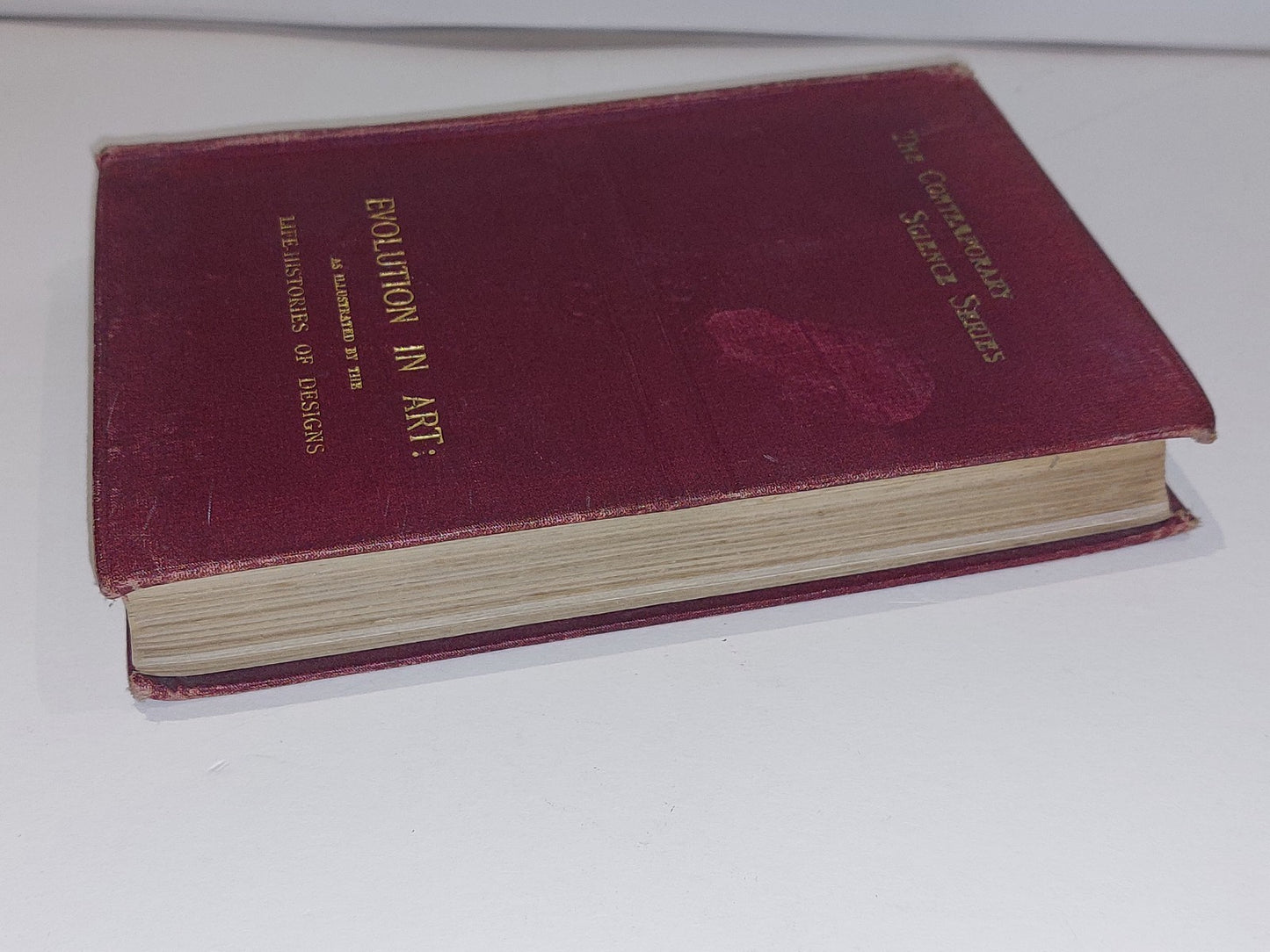 Evolution in Art by Alfred C. Haddon First Edition (1895) Havelock Ellis8