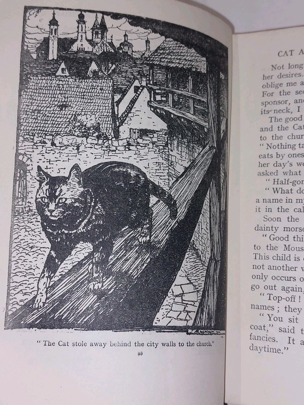 Fairy Tales Of The Brothers Grimm Edgar Lucas 1911 Illustrated By Arthur Rackham10