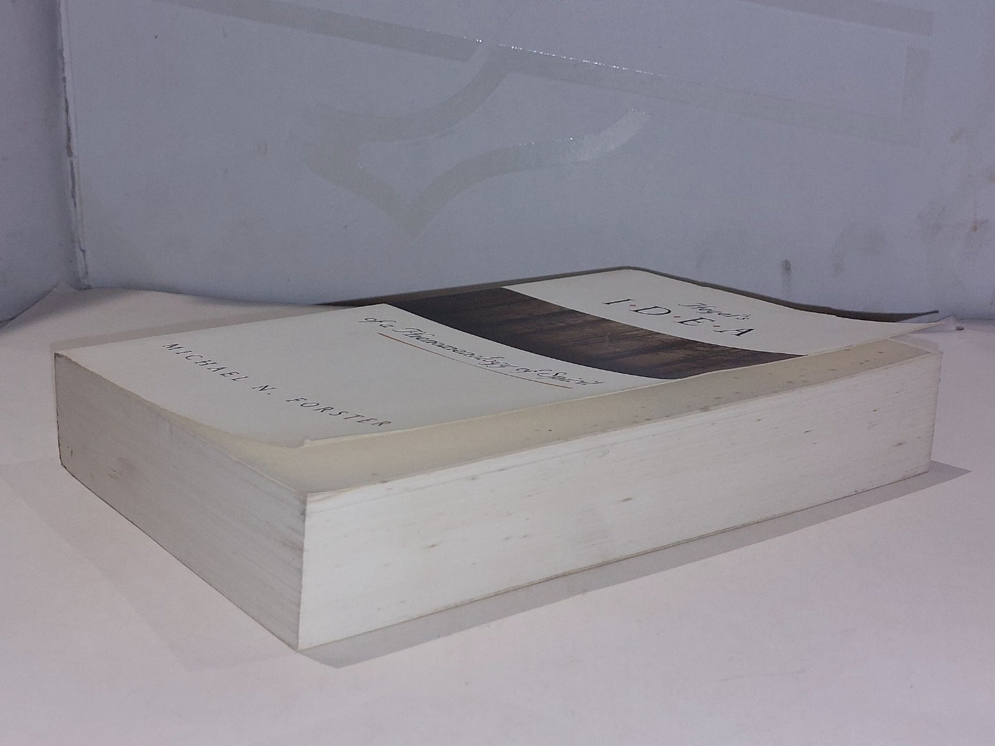 Hegel's Idea of a Phenomenology of Spirit by Michael Forster (1998) Pb3