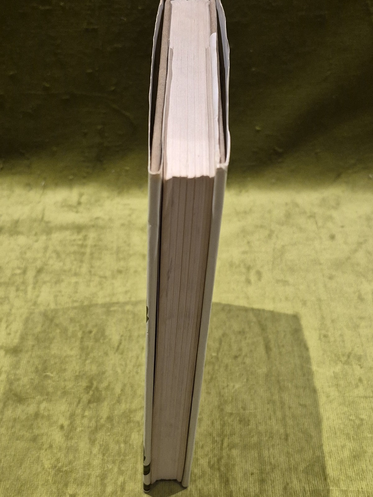 FORSTER, MARGARET The Park 1968 First Edition Hardcover with dust jacket.6