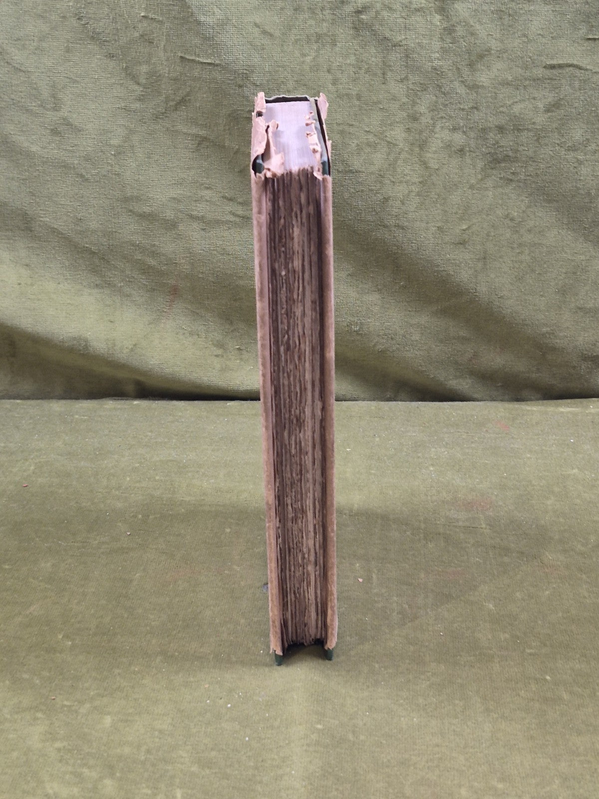 SOLITARIA - V. V. Rozanov , Wishart 1927 1st English Ed HB DJ7