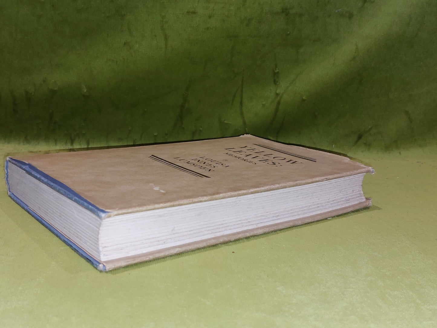 Yellow Leaves : Memories Of A Long Life By Louisa Innes Lumsden (1933) 1st Ed Hb6