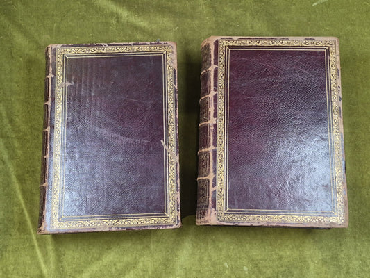 Blackie : The Imperial Gazetteer General Dictionary of Geography 2 Vols 18551
