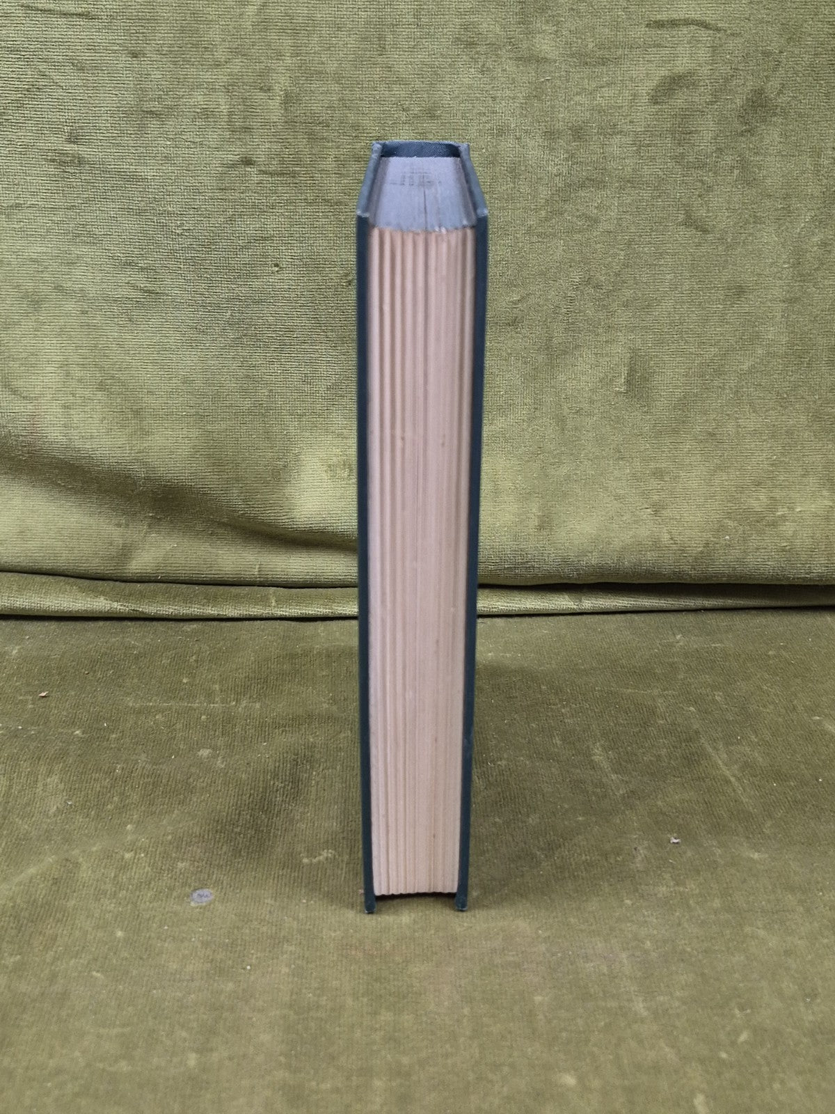 Garden Wisdom from one generation Stephen Gwynn 1st 1921 Talbot Press HB DJ7