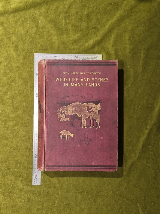From North Pole To Equator Wild Life And Scenes In Many Lands - Brehm 1st 18971