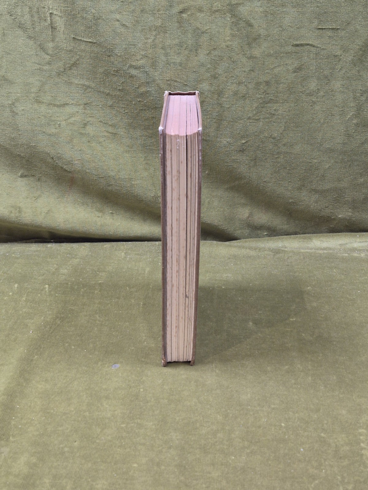 St. Francis of Assisi by G K Chesterton Hodder & Stoughton illus Cayley-Robinson7