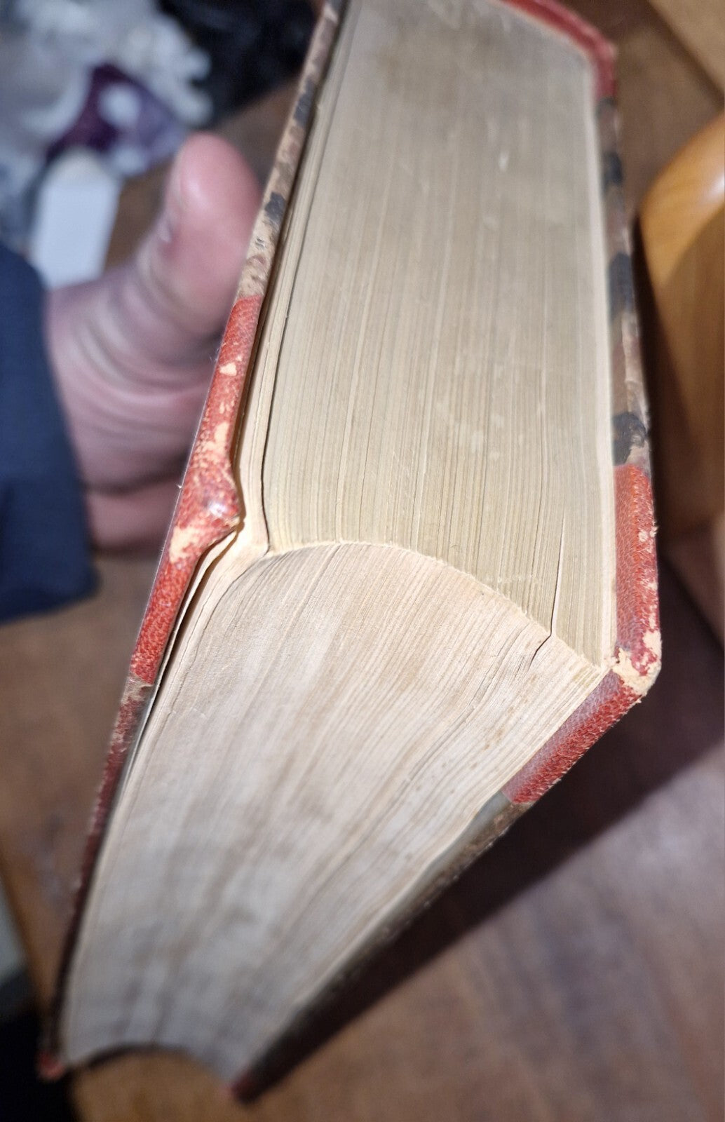 DIE MEISTER DER FRANZÖSISCHEN KÜCHE AUS ACHT JAHRHUNDERTEN. Bertrand Guégan 19226