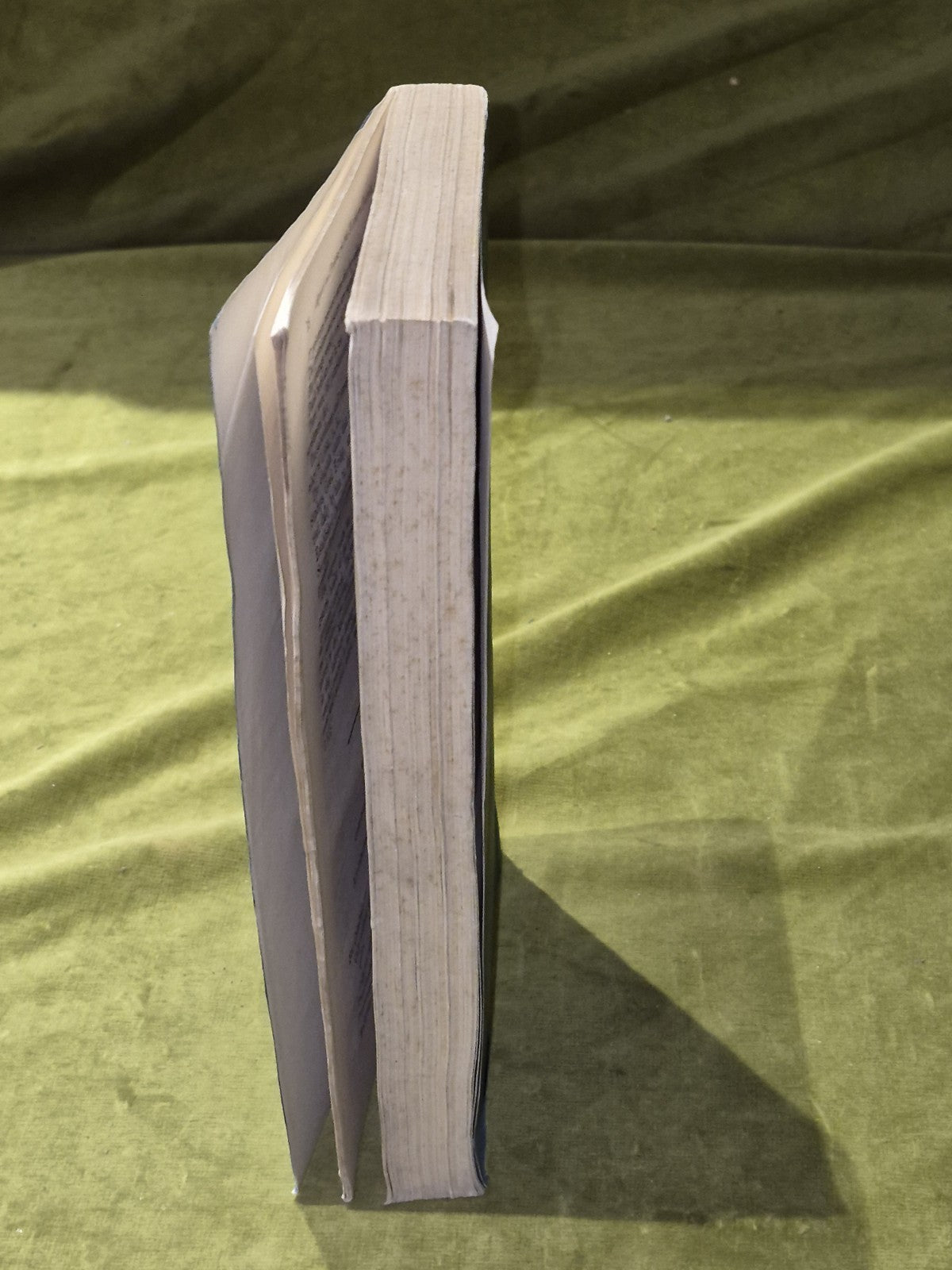 1874 Thirty-Eighth Report of the Inspectors of the Prisons of Great Britain6