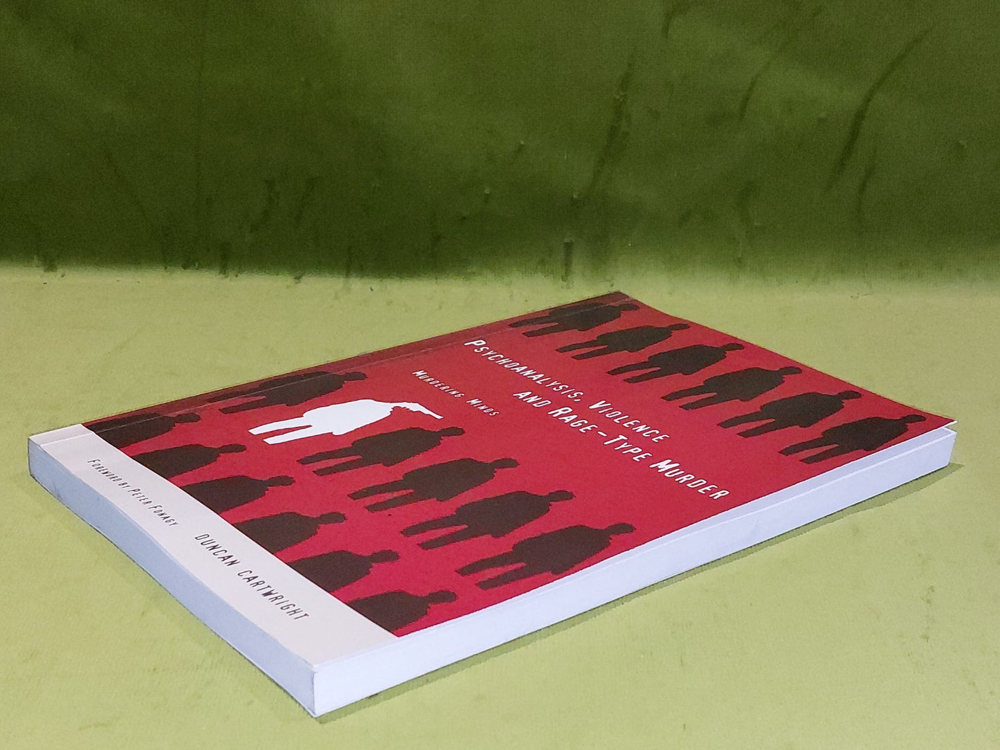 Psychoanalysis, Violence and RageType Murder Duncan Cartwright (2001) Pb4