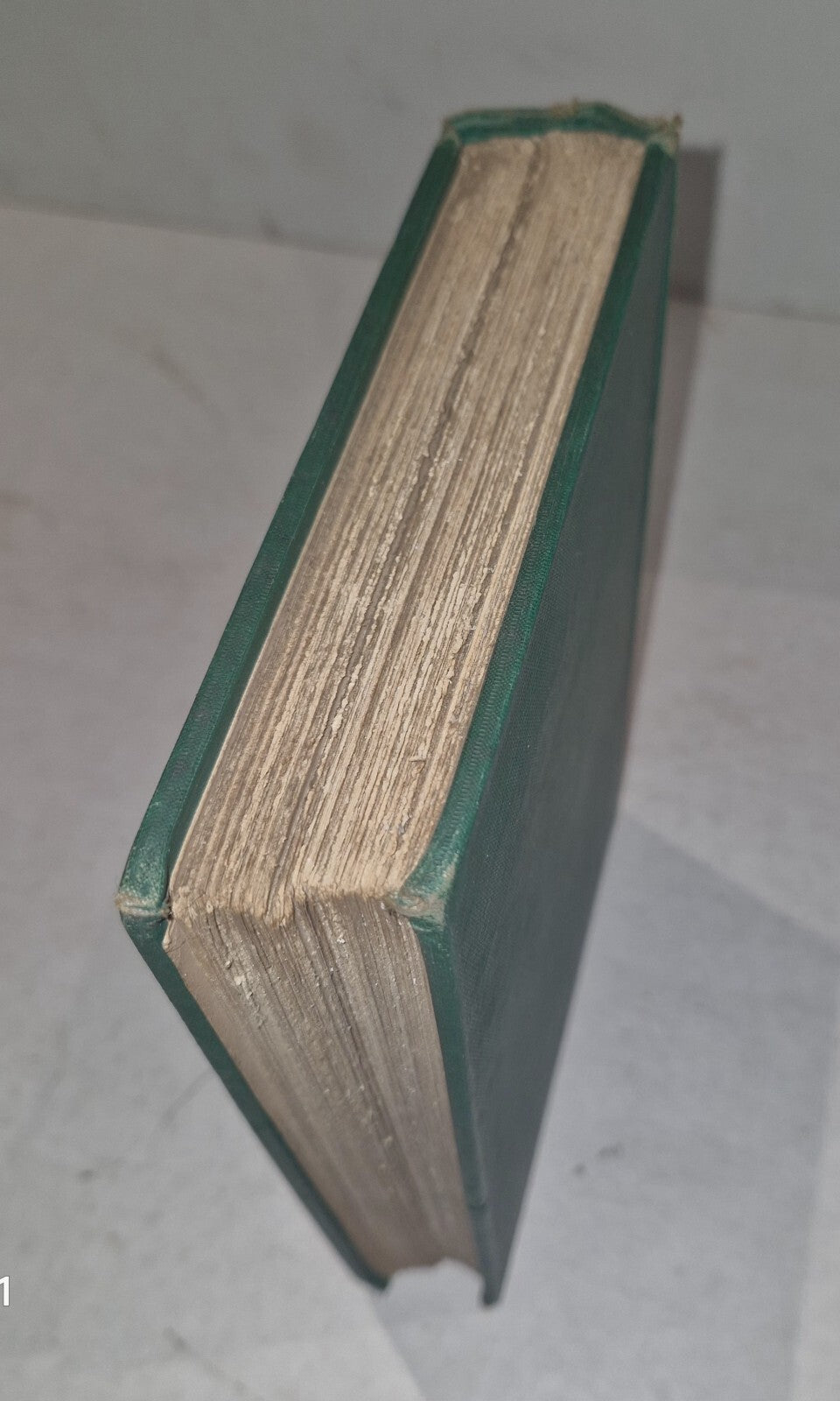 Days and Nights of Salmon Fishing William Scrope 188512