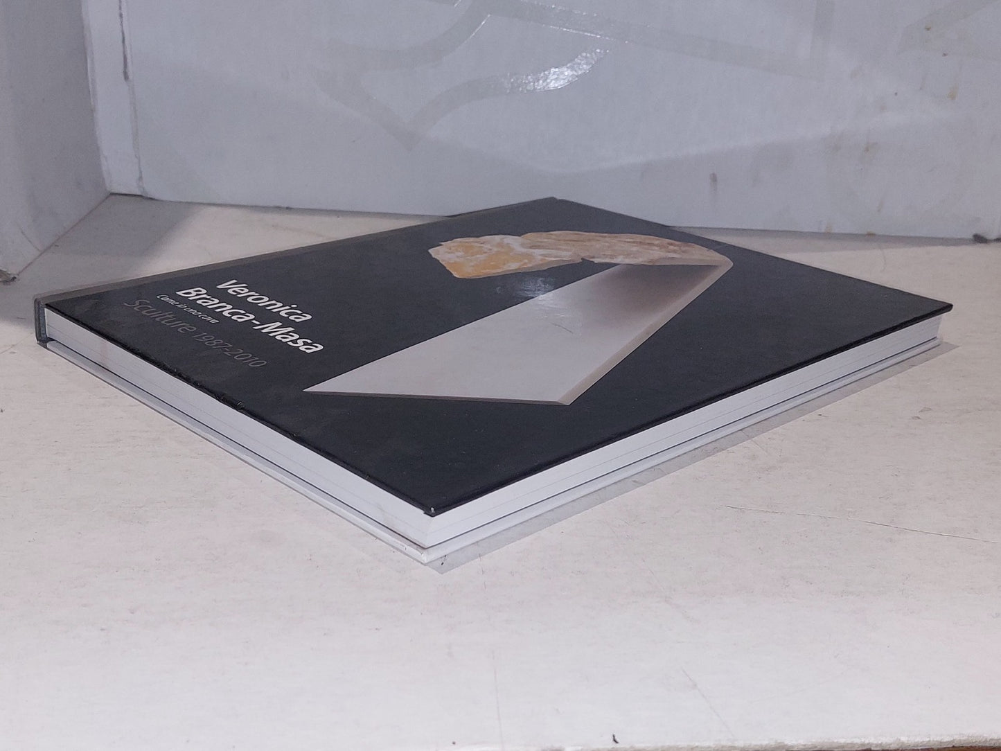 Veronica Branca-Masa : Sculture 1987-2010 (2011) Hb Book5
