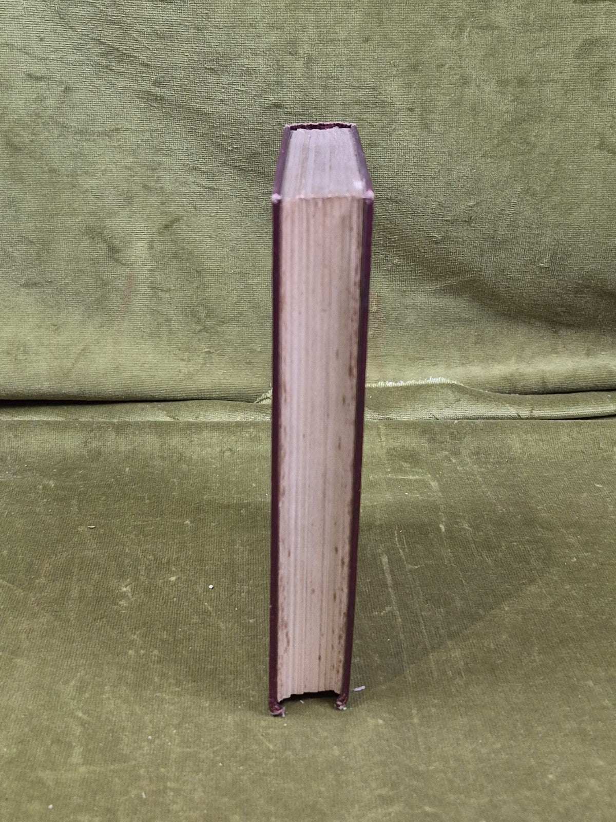Robert Burns and the Common People - William Stuart, Reformers' Bookstall 19106
