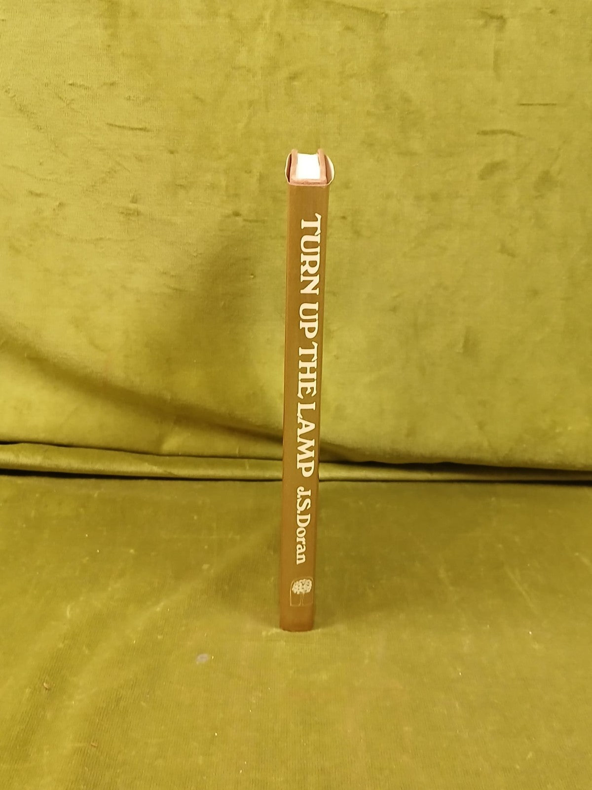 Turn up the lamp: Tales of a Mourne childhood - J S Doran , Appletree 1980 HBDJ1