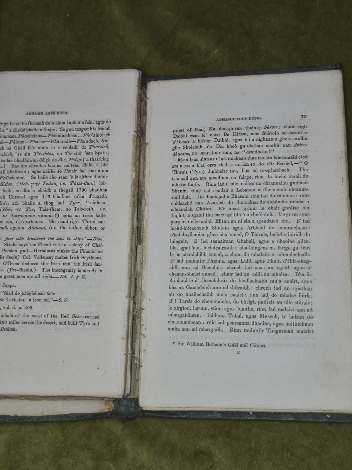 Adhamh Agus Eubh Craobh Sheanachais nam Gael Lachlan 1837 Mac'leon6