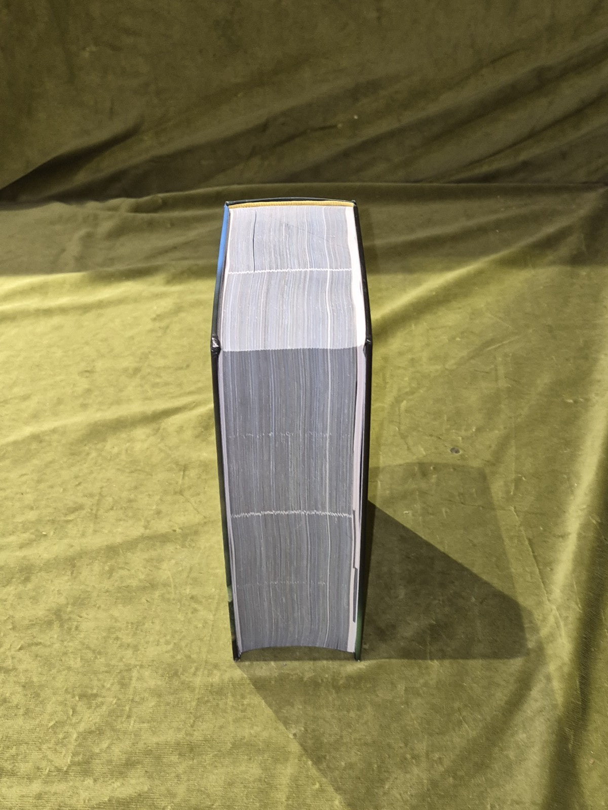 Flora Helvetica By Konrad Lauber & Gerhart Wagner6