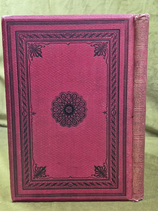 Delapalme Le Livre De mes Petits Enfants 1866 Paris Hachette1
