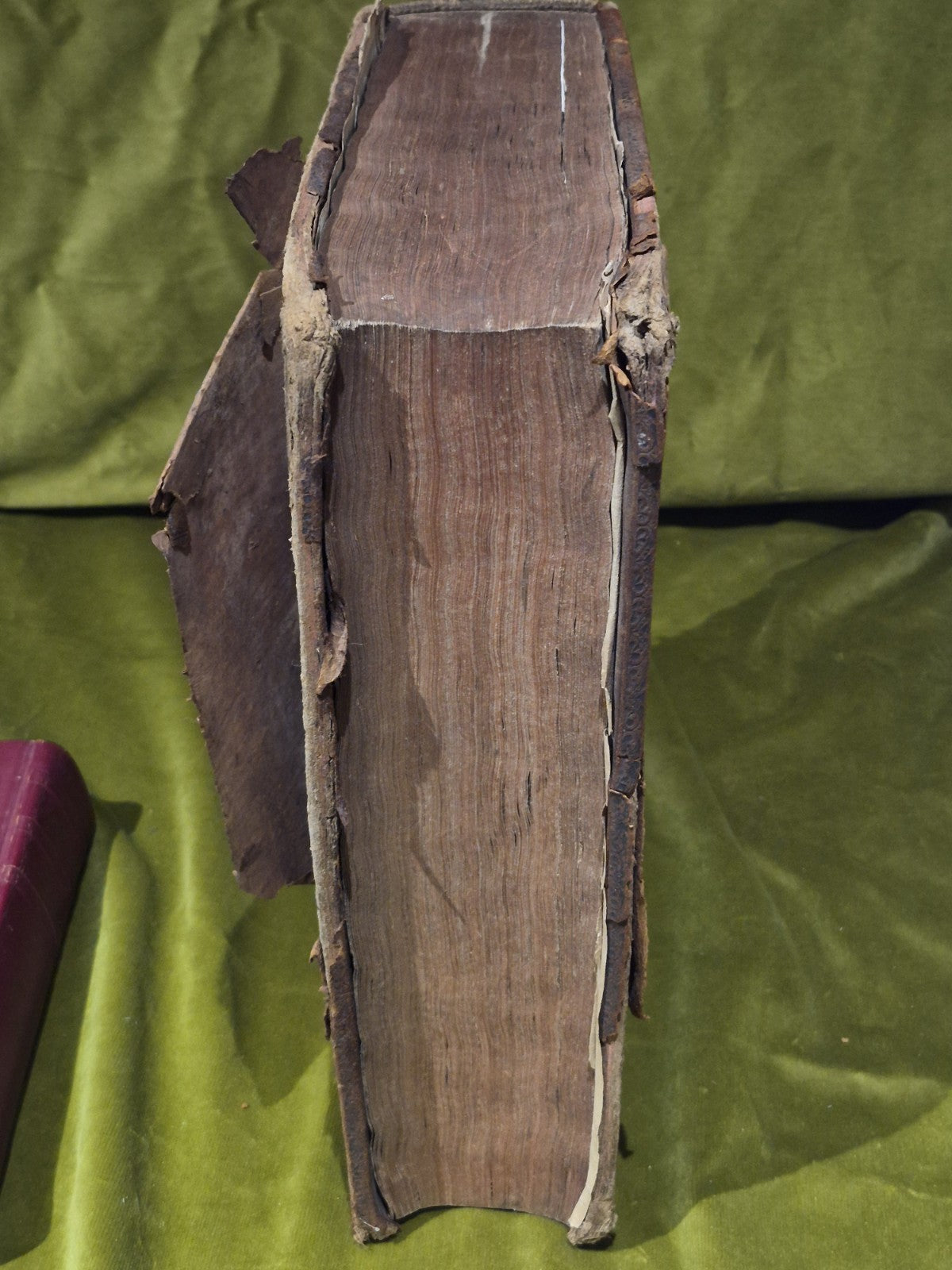 1637 Greek-Roman Lexicon - In Quo Ex Primitivorum - Ioannis Scapulae - Leather16