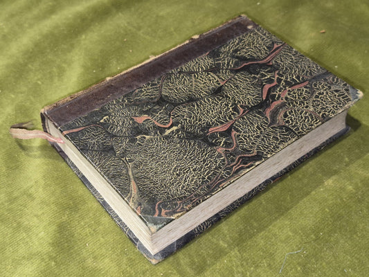 Bellezze Dell' Istoria D'Italia di Francesco Guicciardini (1826)1