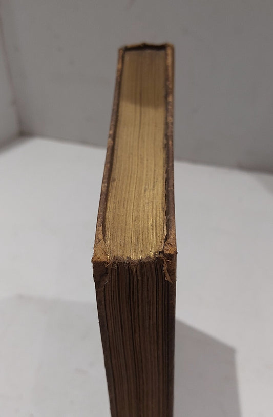 19th Century, Etching In England By Frederick Wedmore (1895) Book1