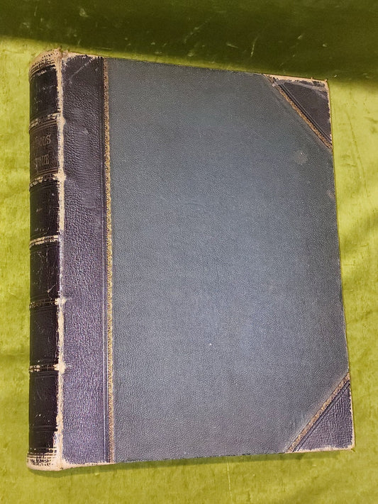 c1880 Life And Explorations Of Dr Livingstone Illustrated Tinted Lithographs1