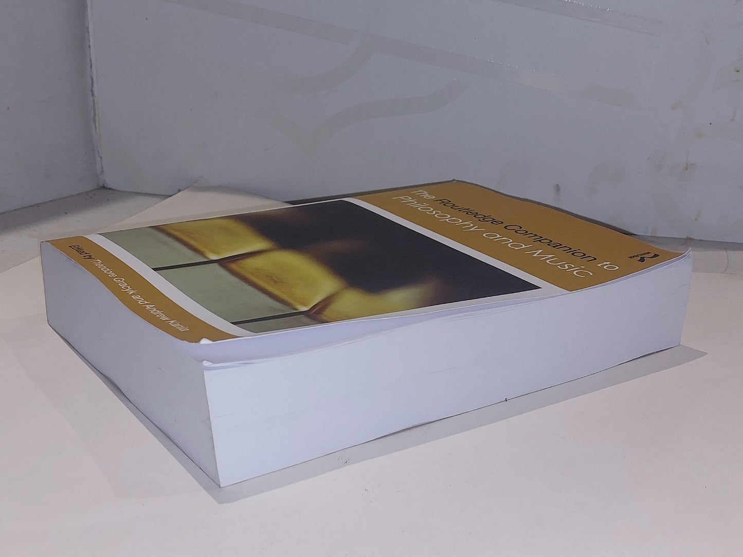The Routledge Companion to Philosophy and Music - Gracyk & Kania (2014) Pb Book1