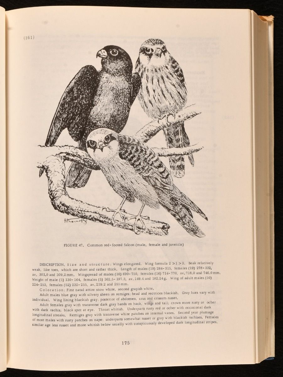 Birds of the Soviet Union, Vol. VI