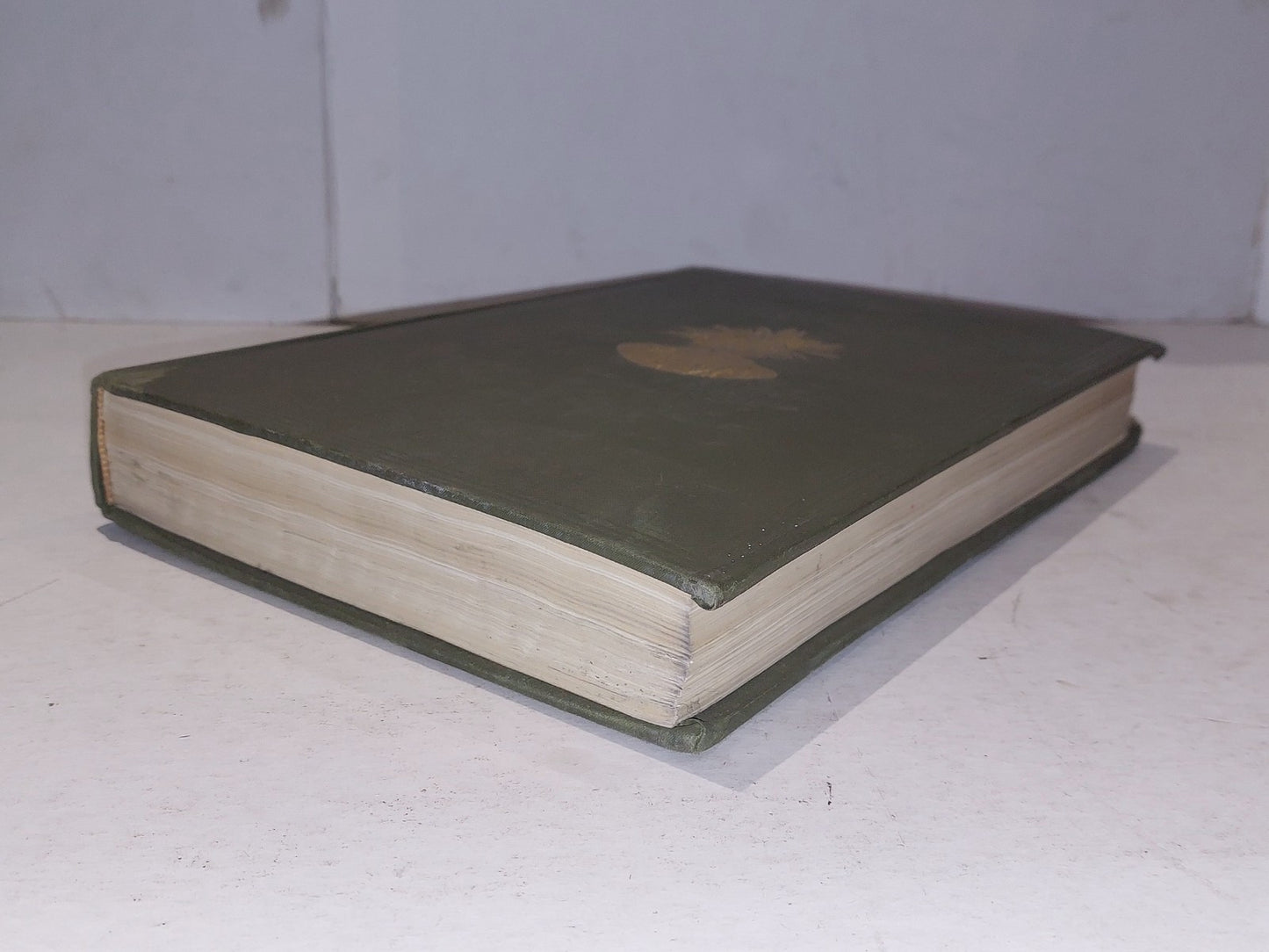 BUREAU OF AMERICAN ETHNOLOGY 44th Annual report of the Bureau 1926 - 27 8