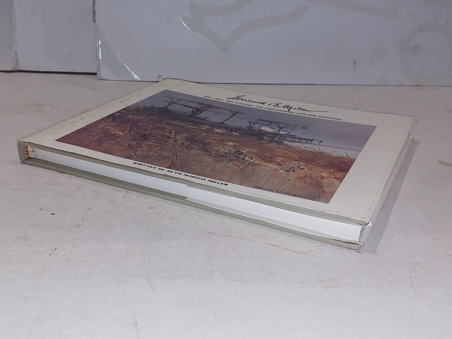 SIGNED Gerhard Miller Door County WI Book ~ Life, Poetry, Philosophy, Paintings7