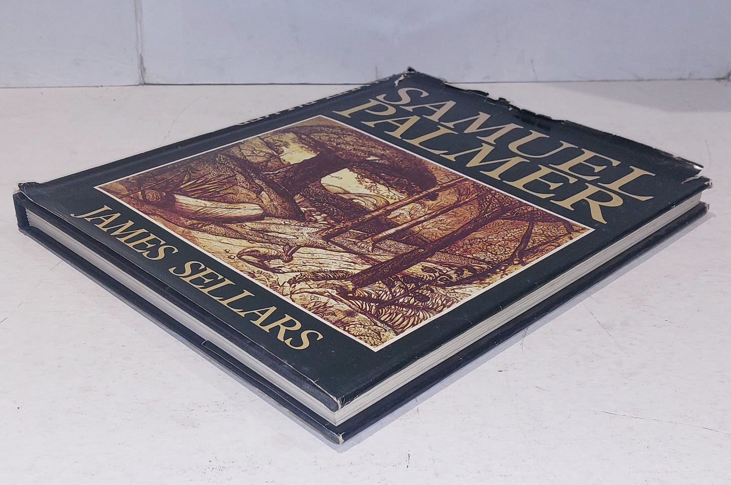 Samuel Palmer by James Sellars HB DJ Illustrated 19749