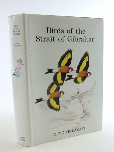 Birds of the Strait of Gibraltar