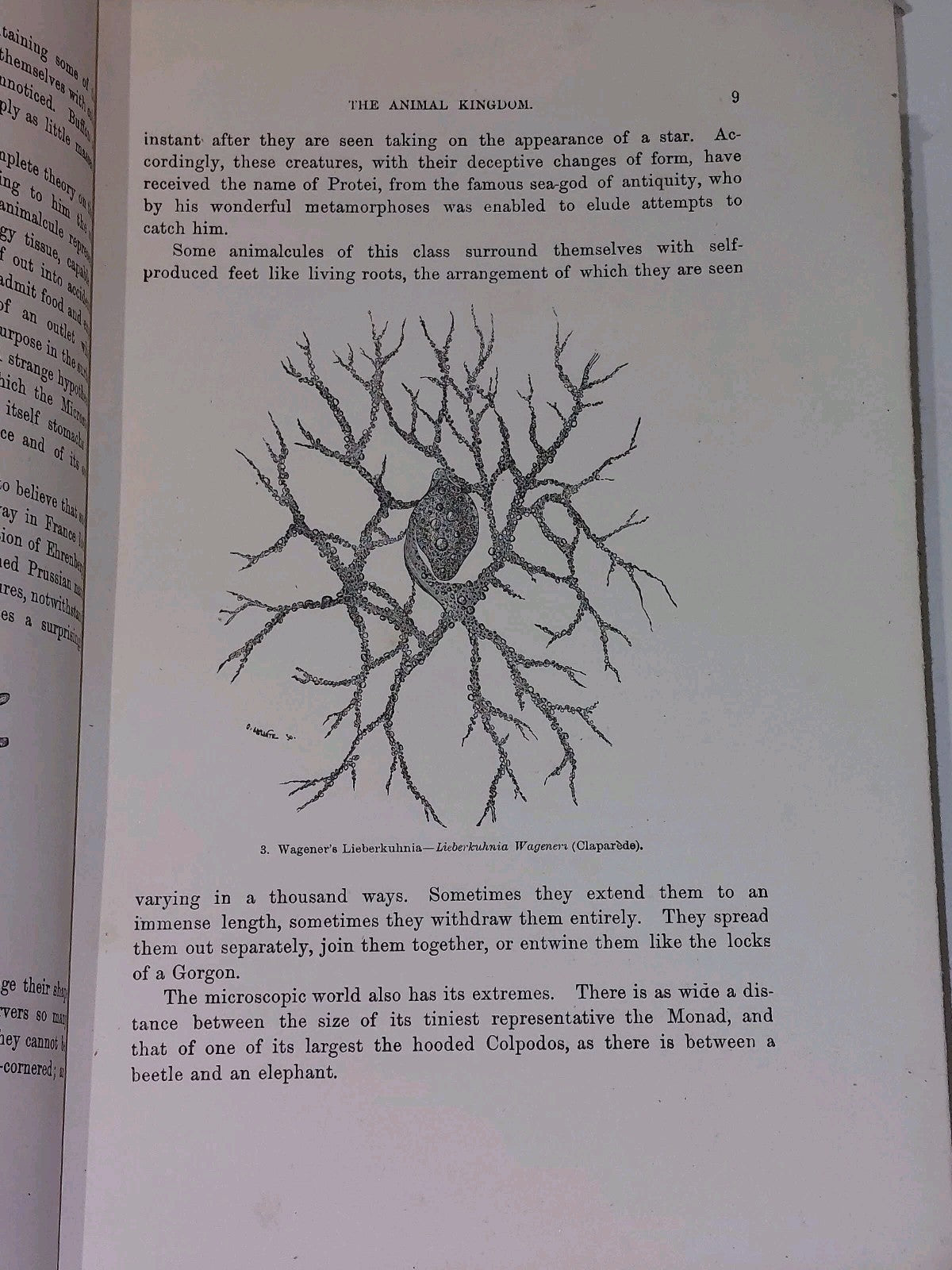 The Universe by F. A. Pouchet (1909) 5