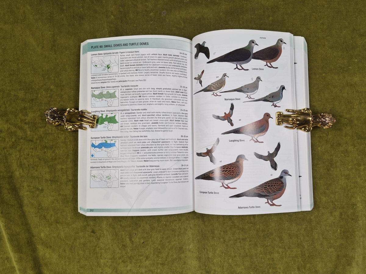 Field Guide to Birds of Western Africa: 2nd Edition by Nik Borrow & Ron Demey PB6