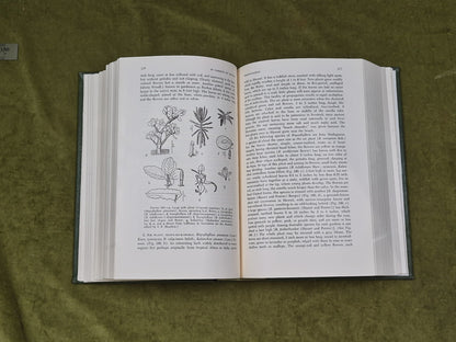 IN GARDENS OF HAWAII By Marie C. Neal , Bishop Museum 1965 Leather5
