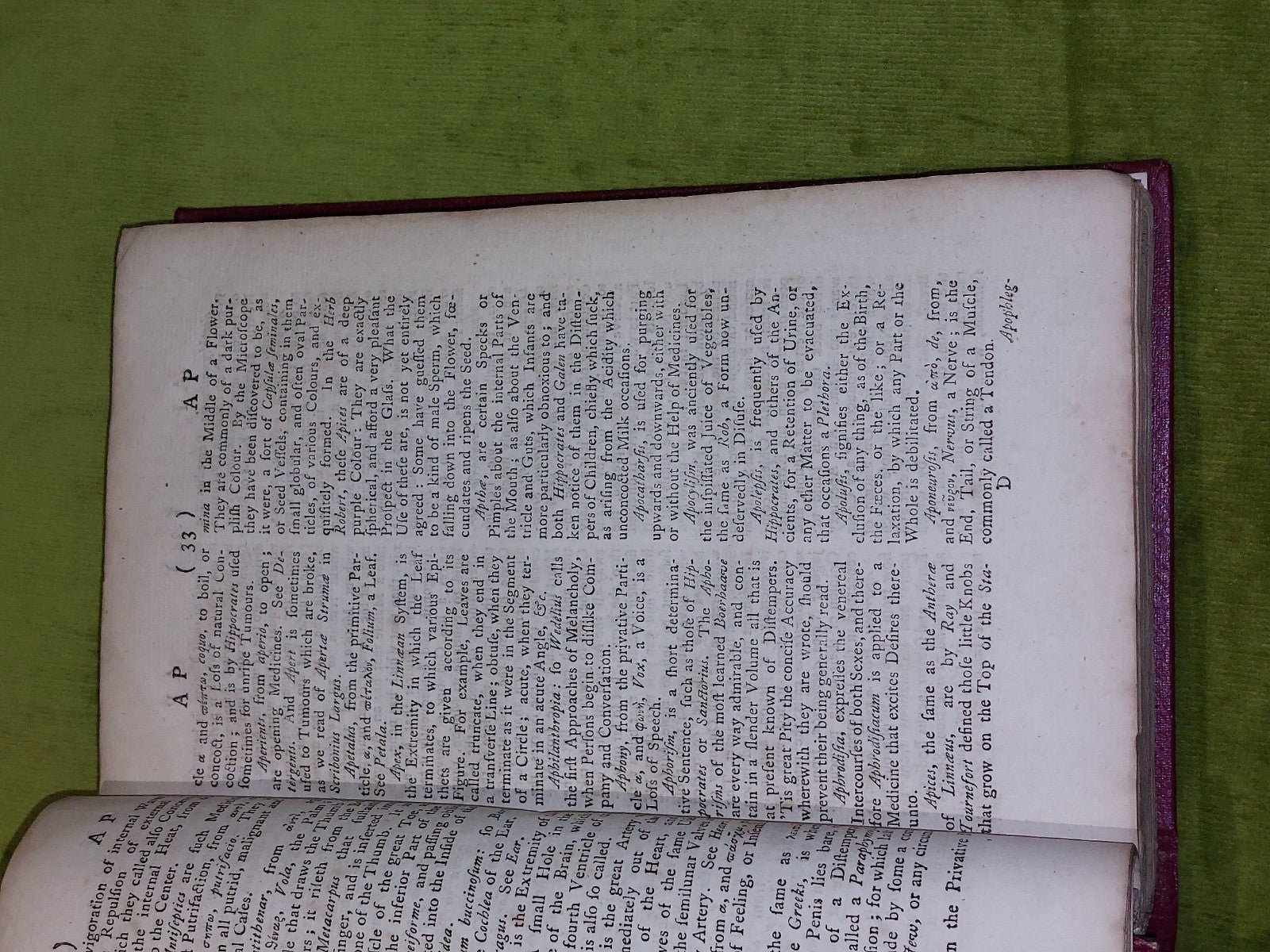 Lexicon Physico-Medicum ; Medicinal Dictionary John Quincy (1767 eighth edition)4