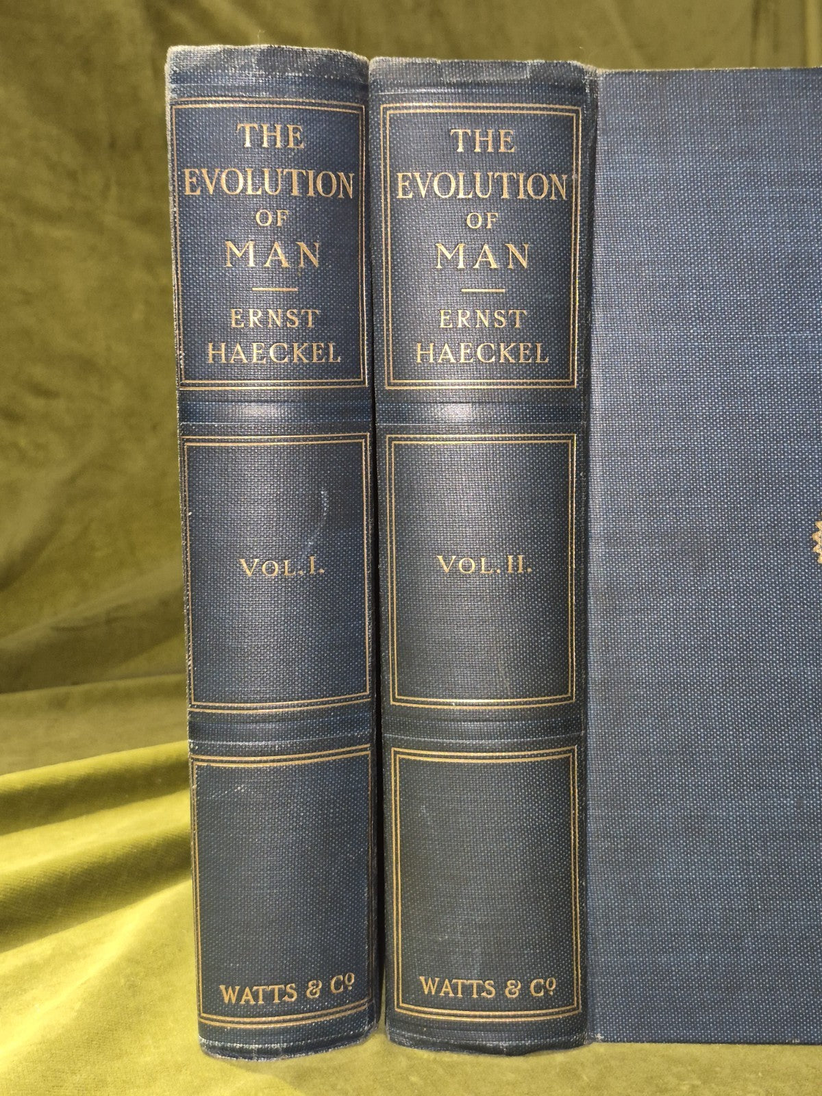 The Evolution of Man (1905) Complete Two Volumes Ernst Haeckel1